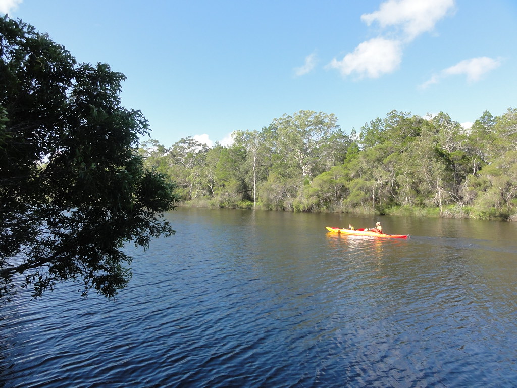 Kayaking on the Noosa River