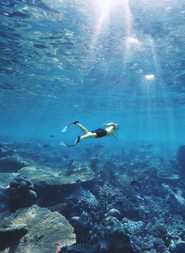 Snorkelling in Maldives
