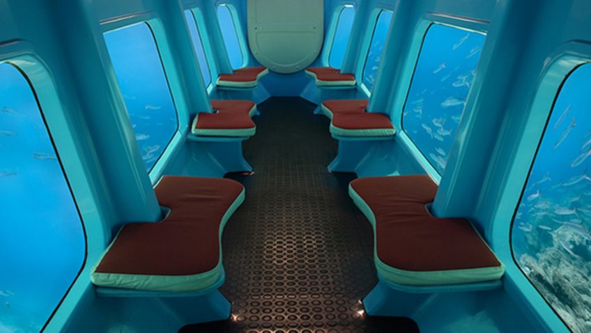 Whale Submarine Tours in Maldives