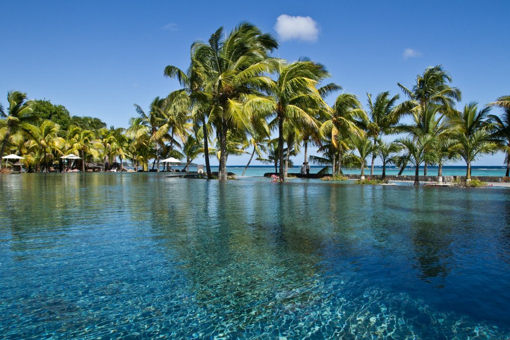 Mauritius Palm trees ( La Cambuse Beach)