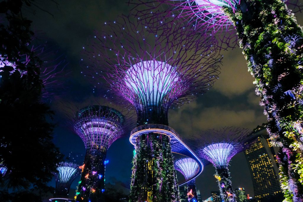 Gardens by Bay lit up during night time