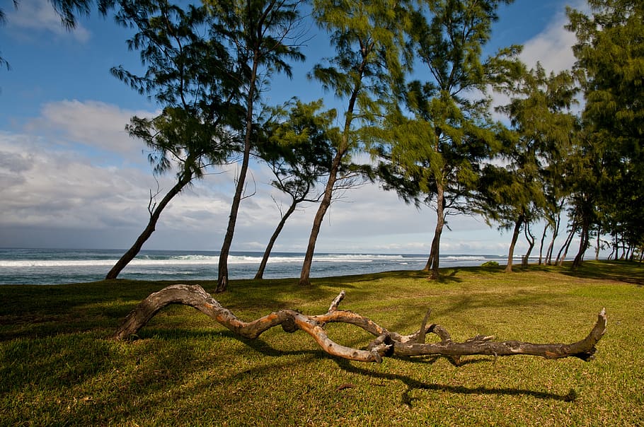 The beautiful Poudre D’or Beach