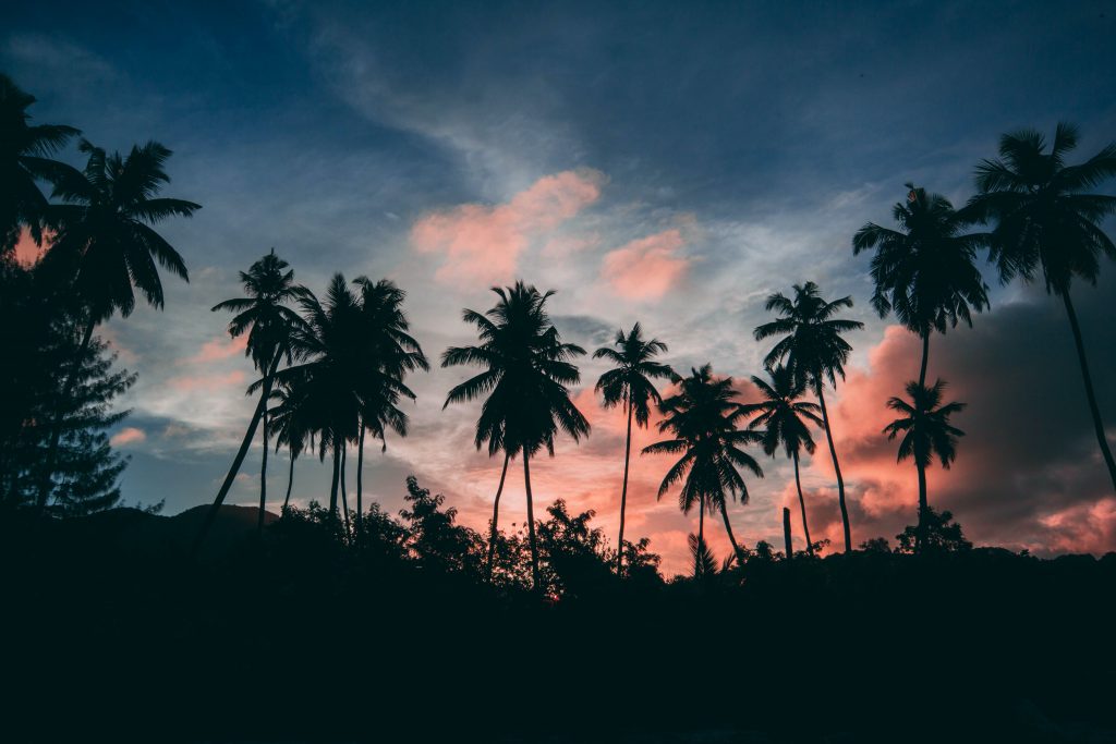 The evening beauty of Seychelles.