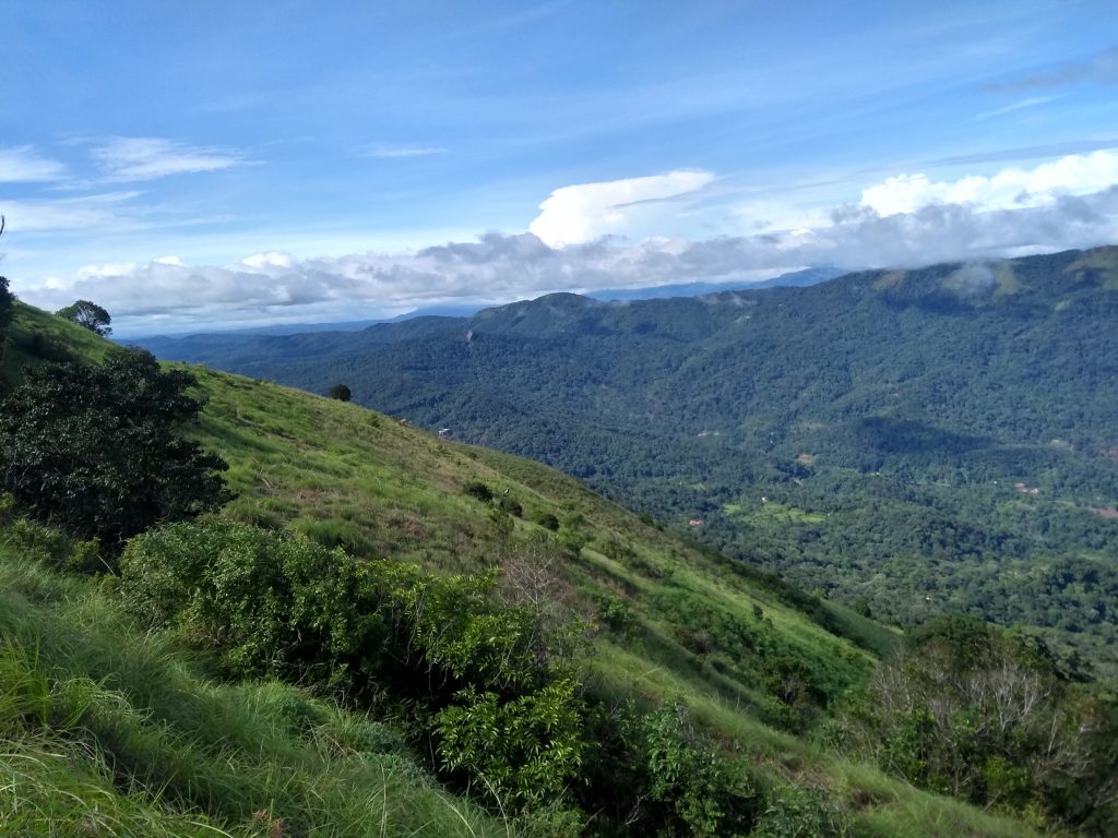 The coorg hills near in Karnataka