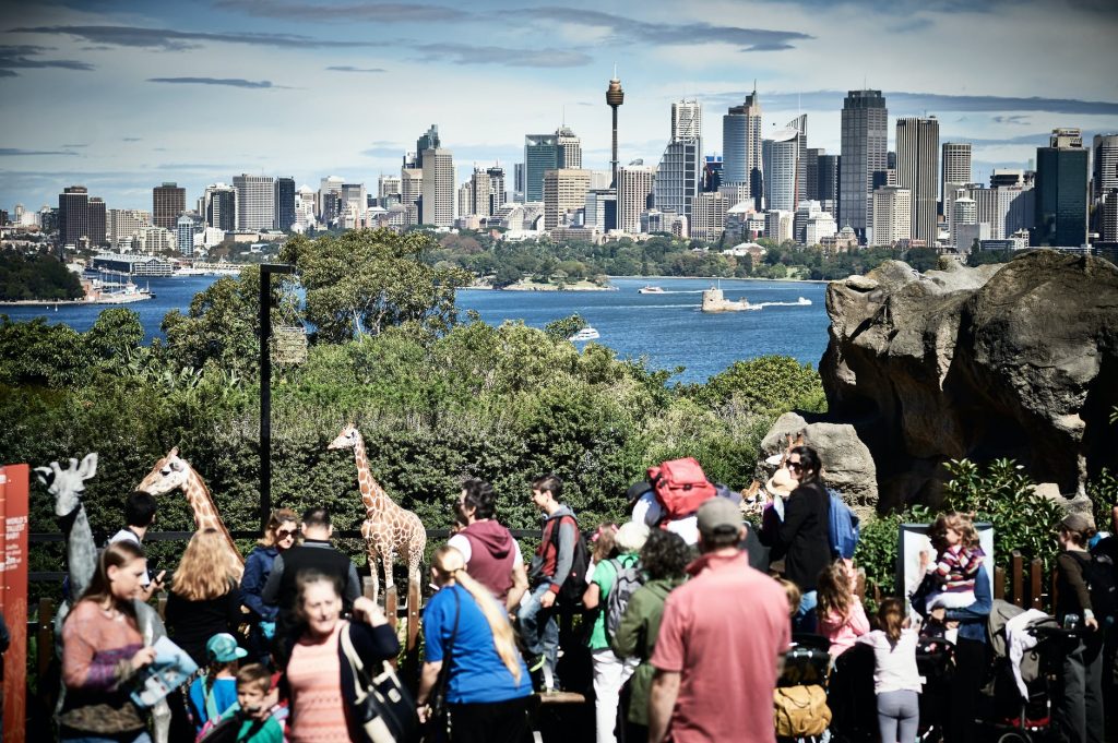 Sydney city view from Taronga Zoo