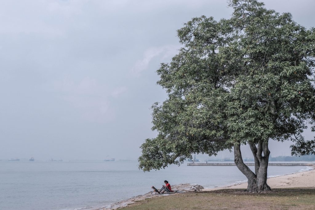 East coast park, best place to visit in Singapore