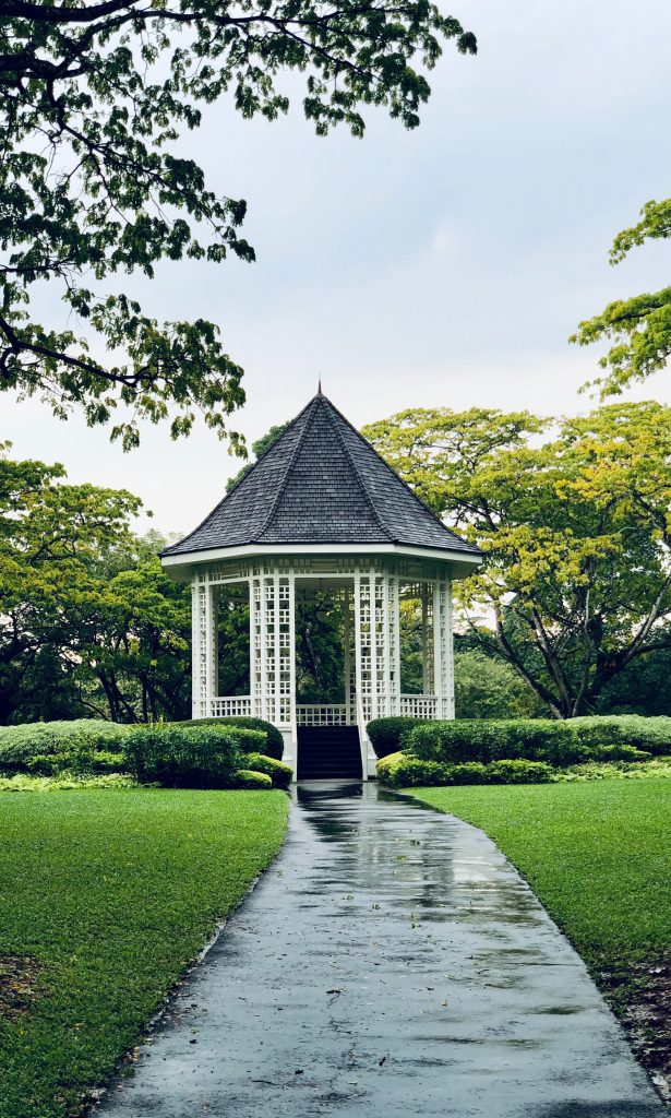 Singapore Botanical garden after a rain