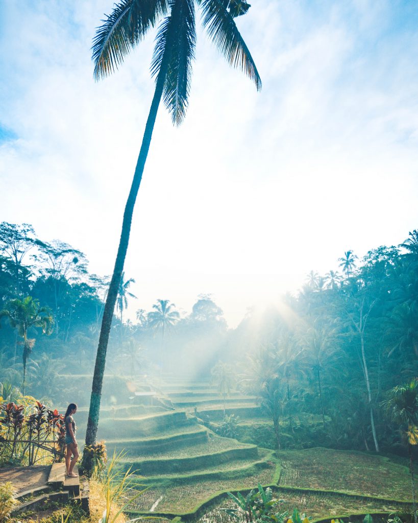 Sunrise view at Tegallalang, Bali