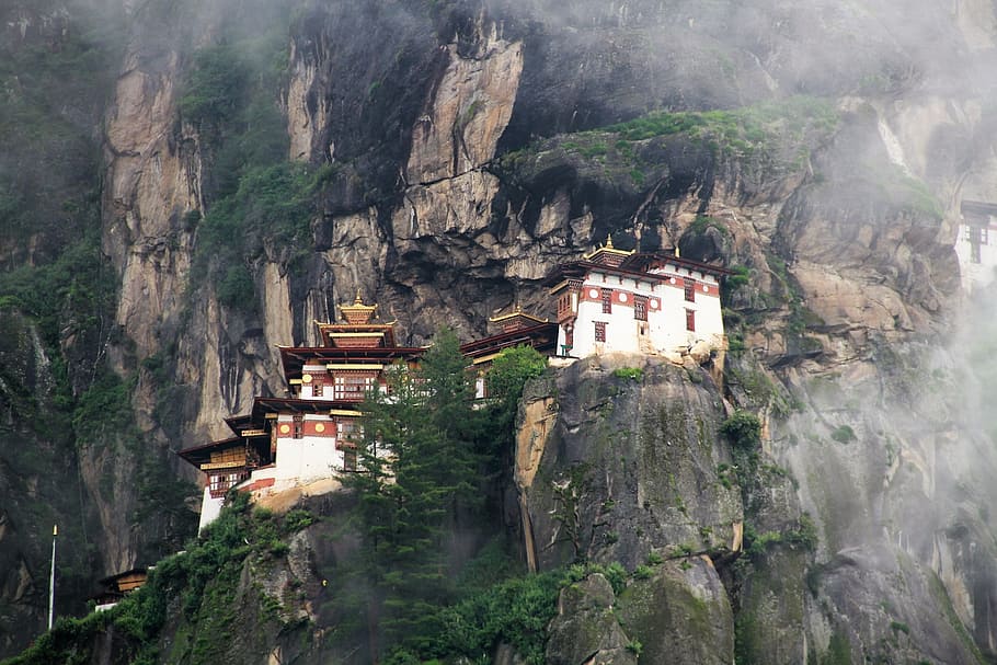 Tigers nest Bhutan