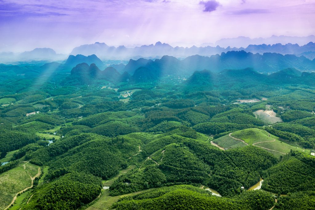trang an bai dinh ninh binh