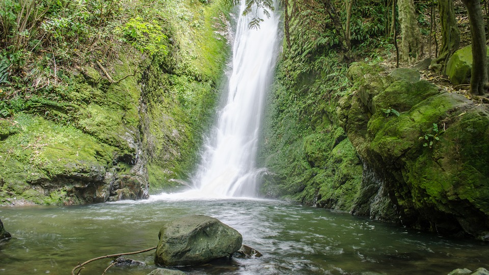 Greenery around waterfalls