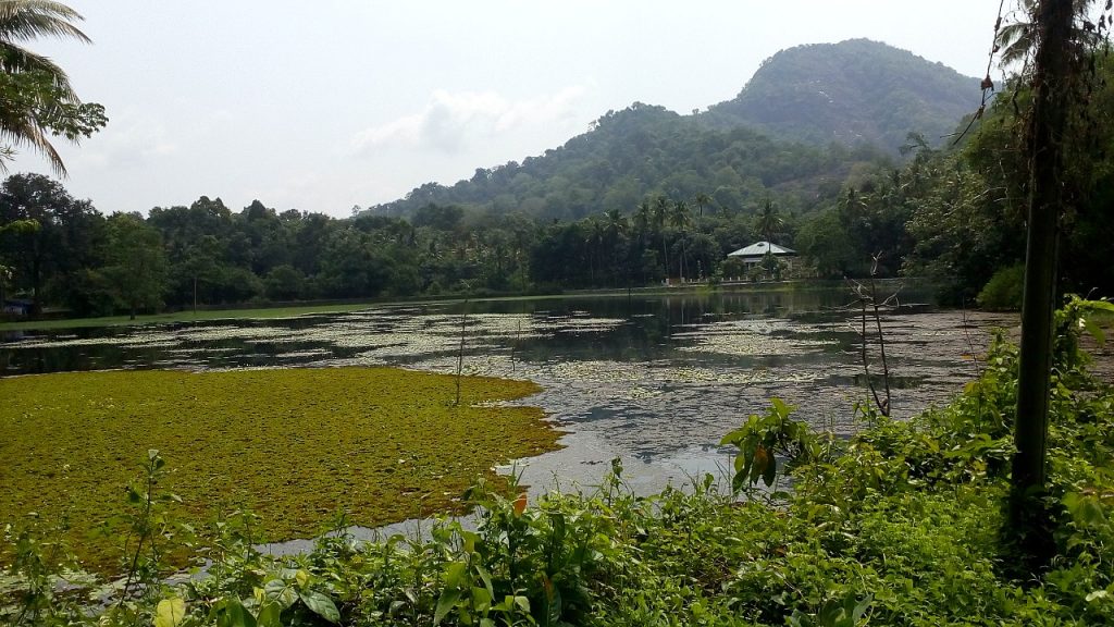 Thattekkad Bird Sanctuary