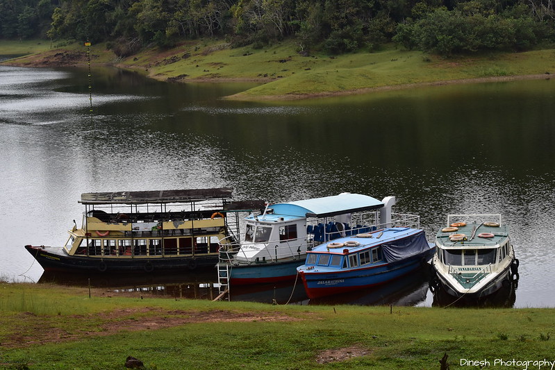 Thekkady Boating