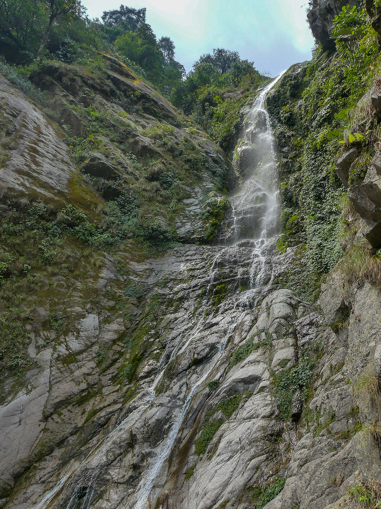 A picture of Sessa Orchid Sanctuary, one of the national parks in Arunachal Pradesh