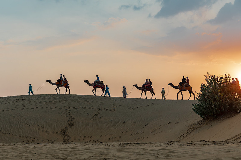 Thar Desert- Jaisalmer