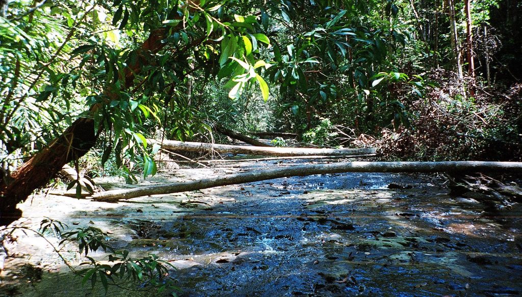 Similajau National Park