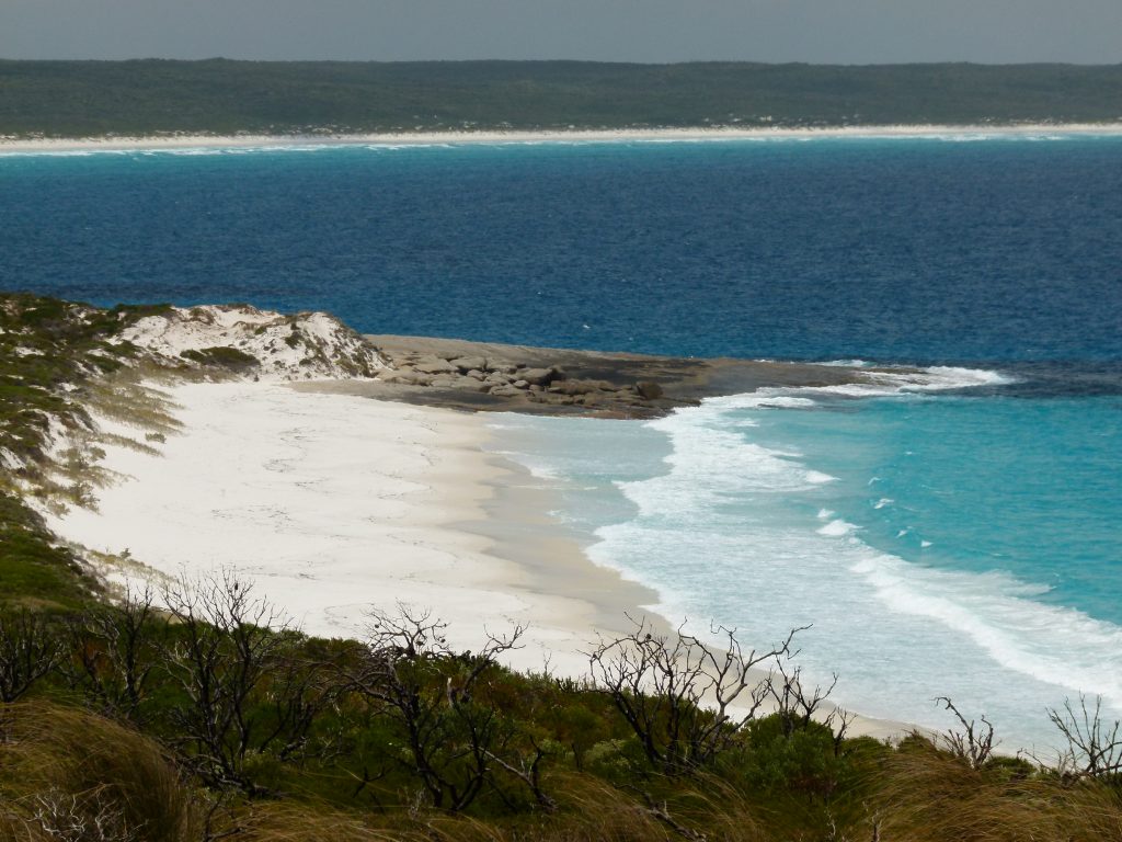 A view of the beach that was taken at the Cape Arid National Park