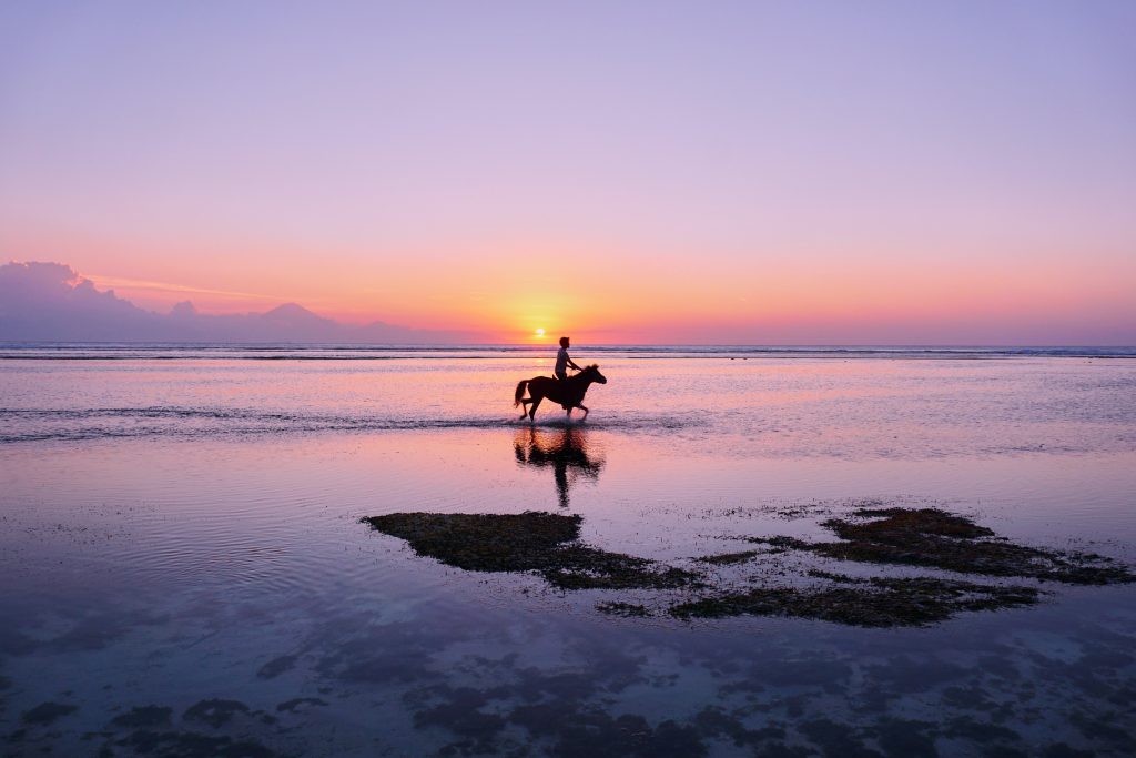 Caribbean Adventure Horse ride on the beach