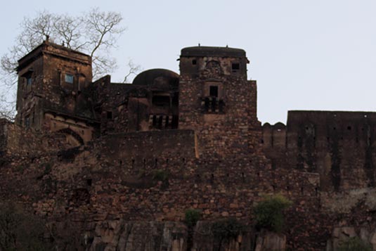 Jogi Mahal