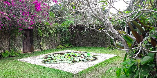 Brief Garden