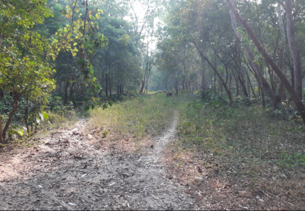 Simultala near Kolkata