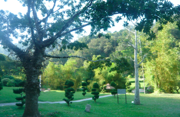 Botanical garden