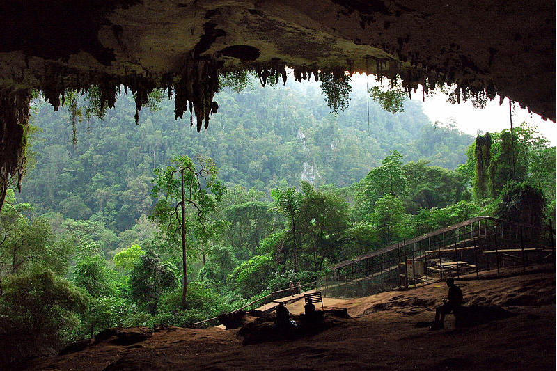 One of Malaysia National Park