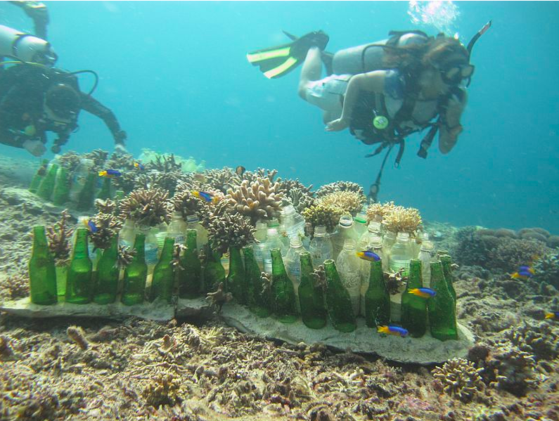 Diving