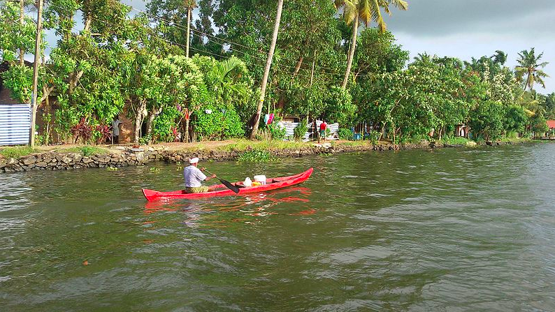 Alleppey Back Water