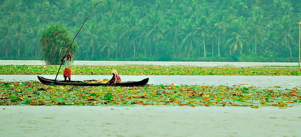 Vellayani Lake, Kovalam