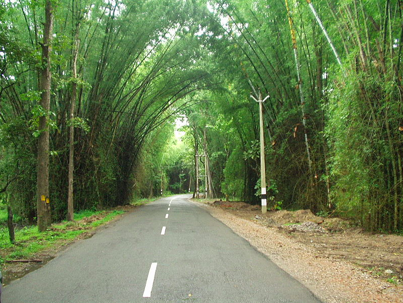 Bangalore to Wayanad