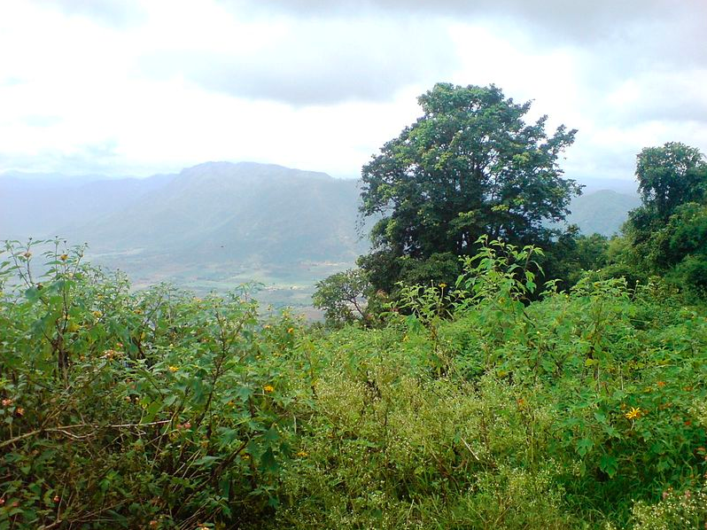 Chellarkovil