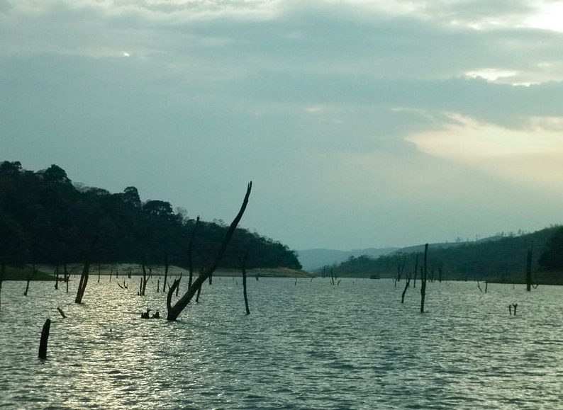 Thekkady Lake