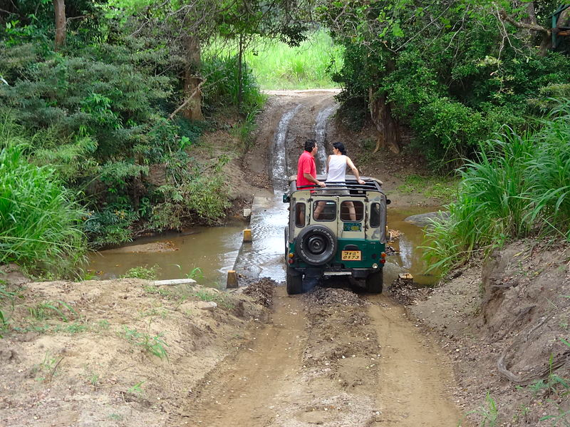 Jeep Safari