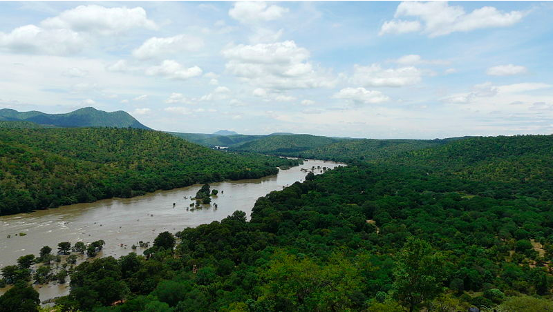 Cauvery
