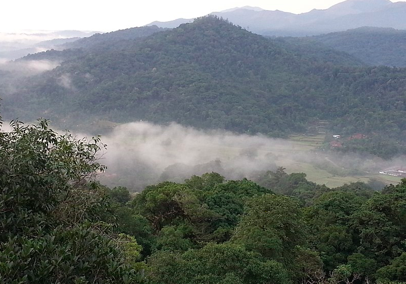 Talacauvery Mountain view