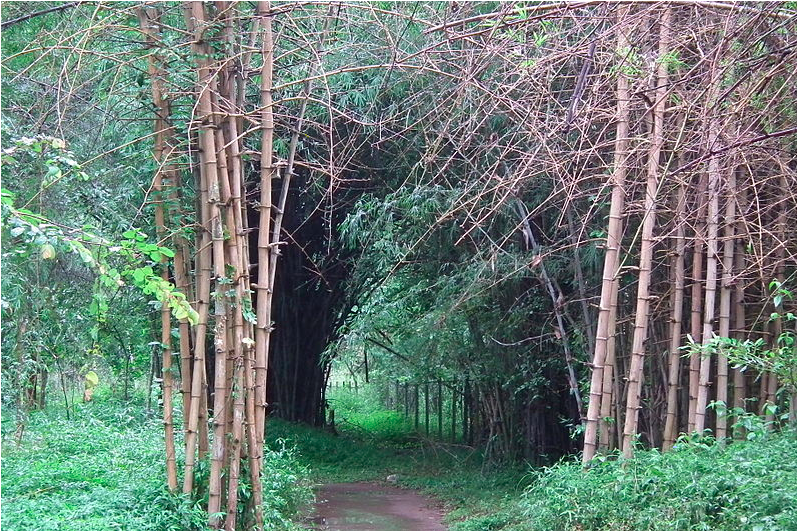 Nisargadhama