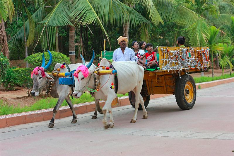 Bullock cart