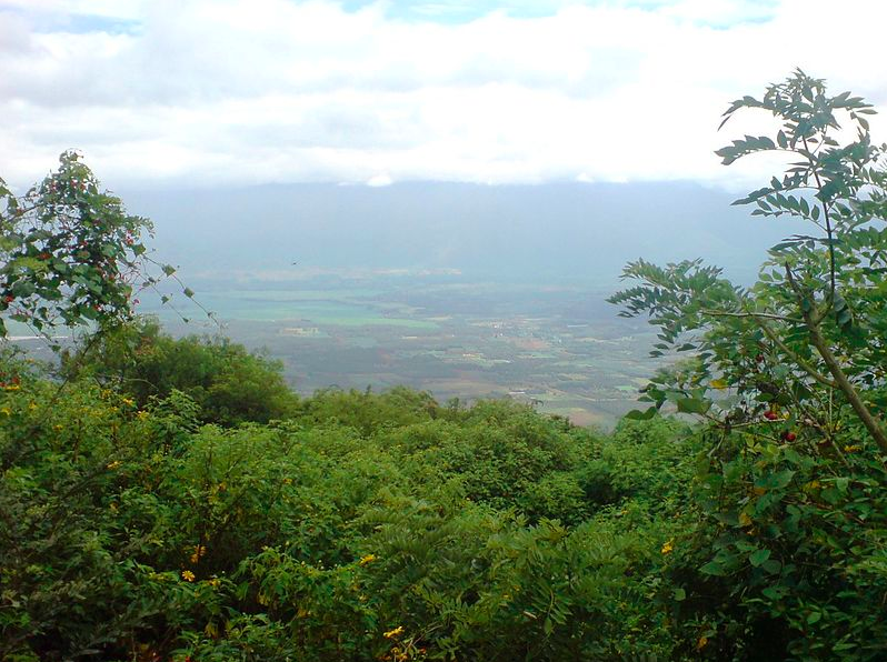 Chellarkovil View Point