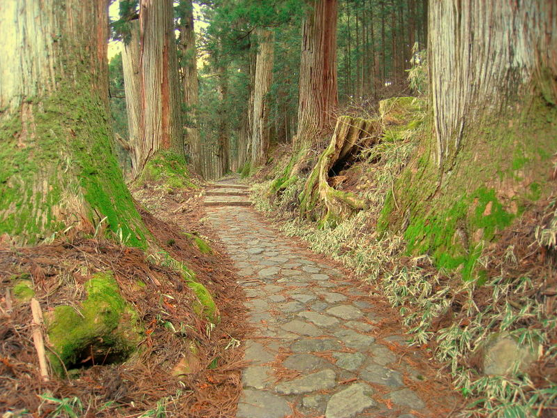 Nature Walk