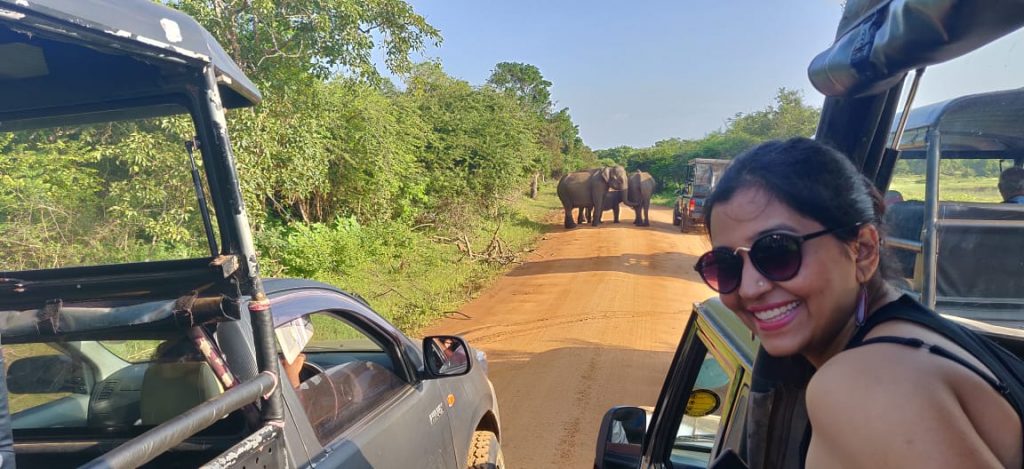 With the elephants of Srilanka