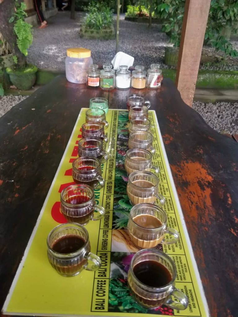 A picture of variety of coffee at Coffee garden in Bali