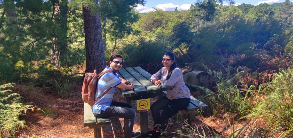 A picture of a couple sitting in the middle of a beautiful forest
