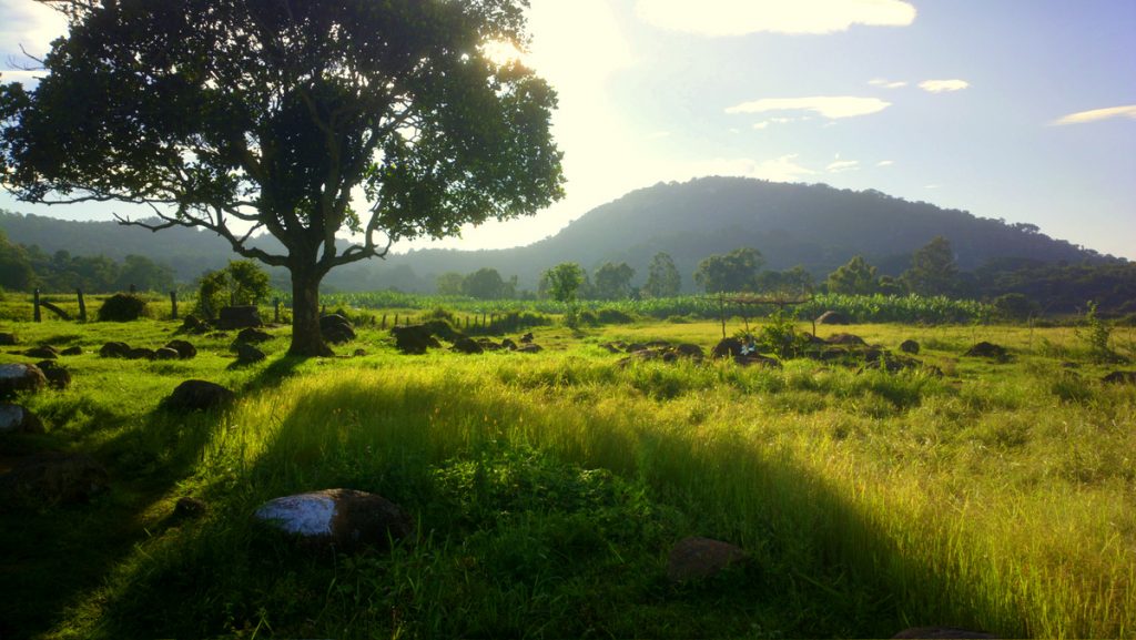 Landscape at Yelagiri
