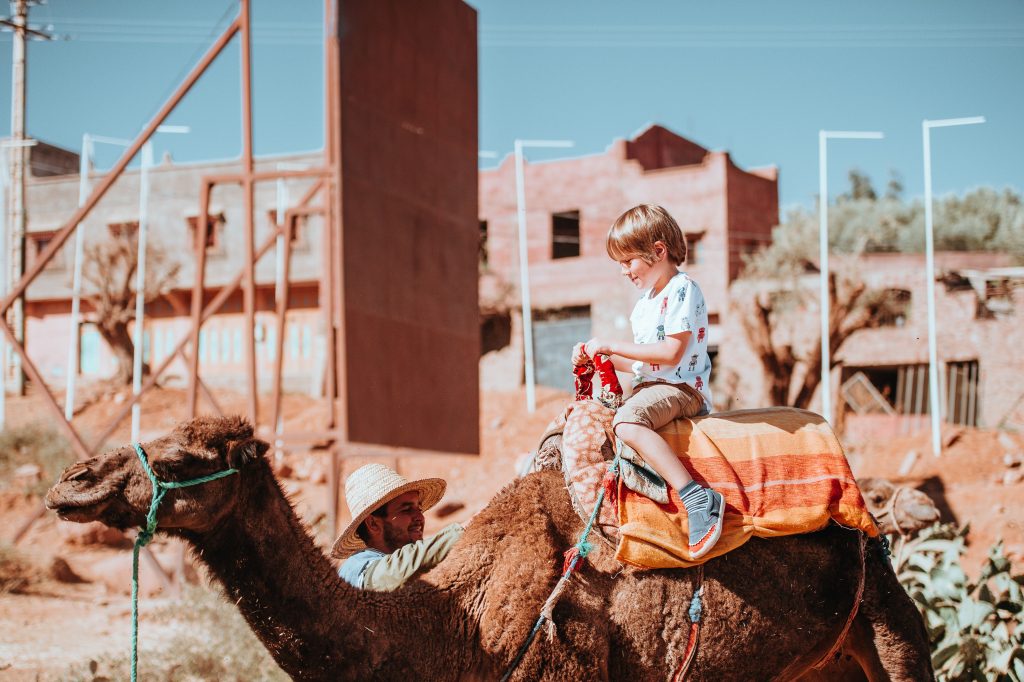 Bactrian Camel Safari