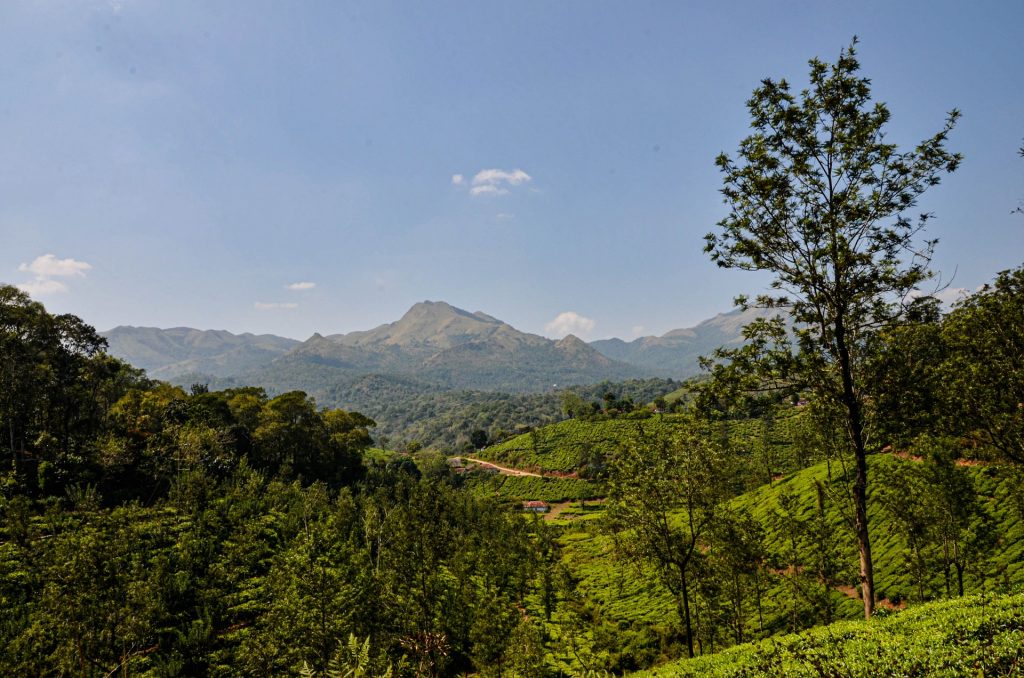 The beautiful Landscape of Wayanad
