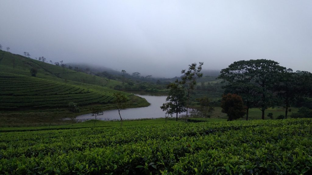 Vagamon scenic Offbeat places in Kerala