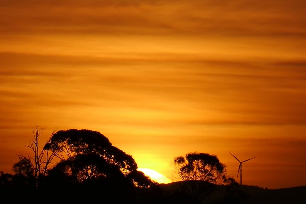 The Most Beautiful Spots in Hamilton, New Zealand
