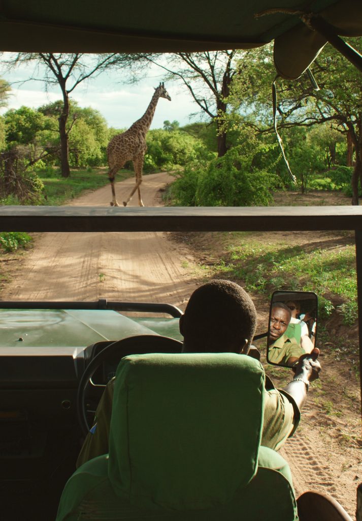 Safari Village in Dubai Safari Park