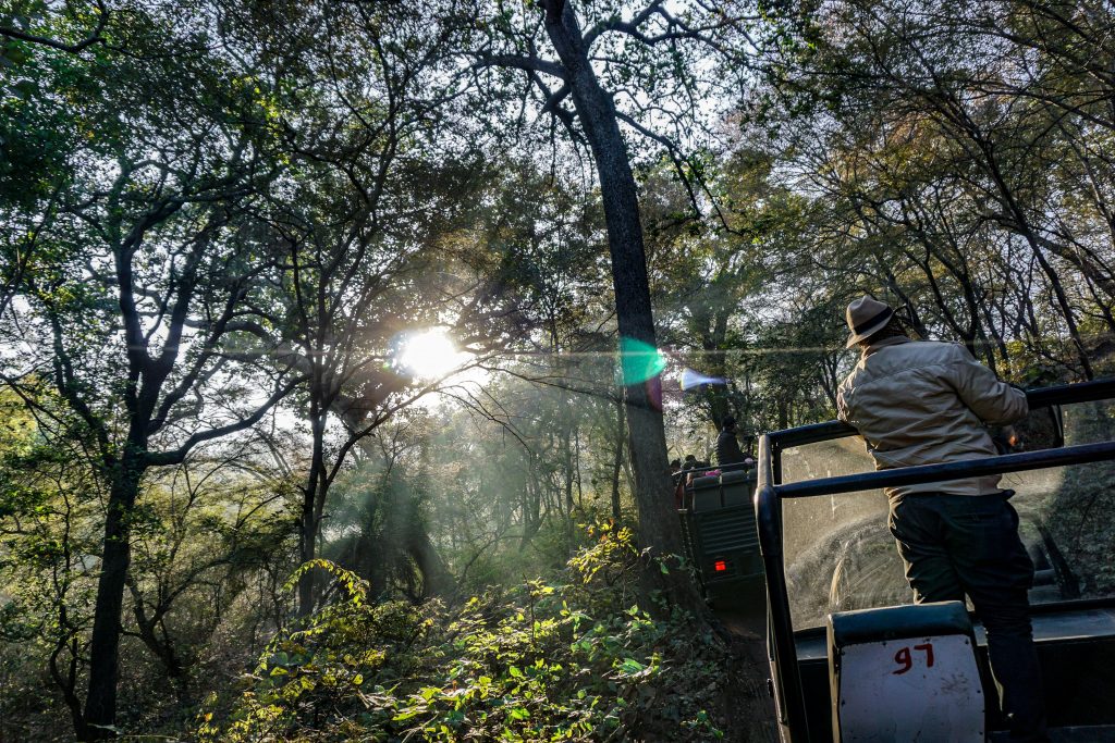 Top things to do in Ranthambore